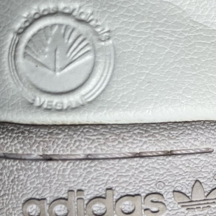 review photo of Adidas Adidas continental 80’ Vegan shared by @beardocet on 19 Mar 2022 - review