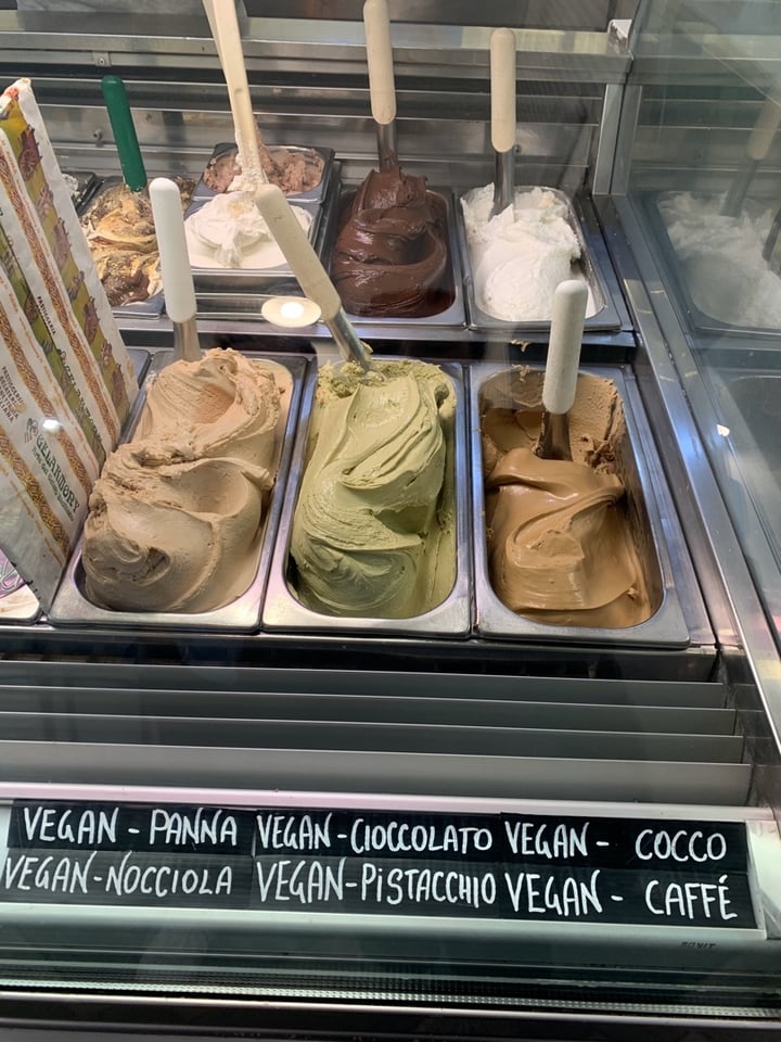 photo of Gelarmony Arte Del Gelato Siciliano Vegan Hazlenut and Dark Chocolate Gelato shared by @poppyhenderson on  21 Jan 2020 - review