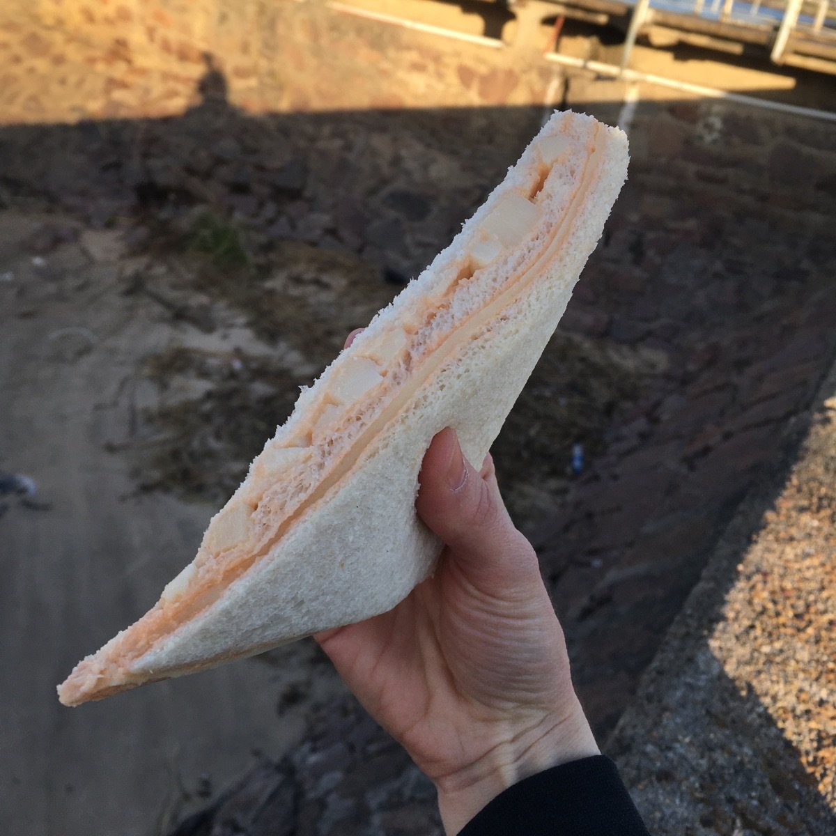 Veg N' Sweet Sándwich De Miga De Palmitos Y Queso Reviews abillion