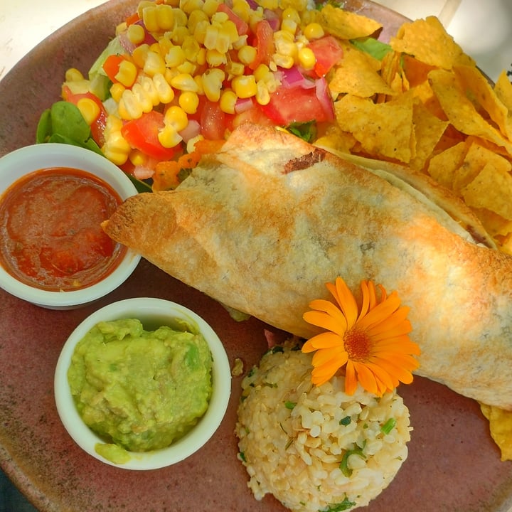 review photo of Artemisia Mexicano shared by @tabymaudet on 12 Nov 2022 - review