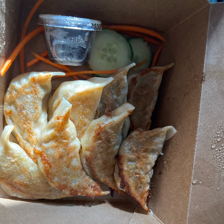 photo of Alice & Friends' Vegan Kitchen Dumplings shared by @revoltingviolet on  09 May 2022 - review