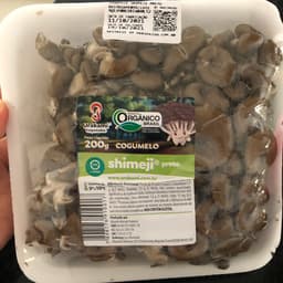 Urakami Cogumelos Organicos