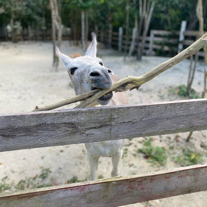 review photo shared by @juliah24 on 04 Mar 2022 - post