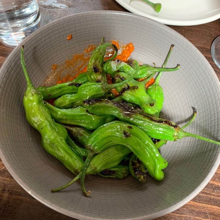 photo of Charlie was a sinner. CHARRED SHISHITO PEPPERS shared by @holisticherbivore on  09 May 2021 - review