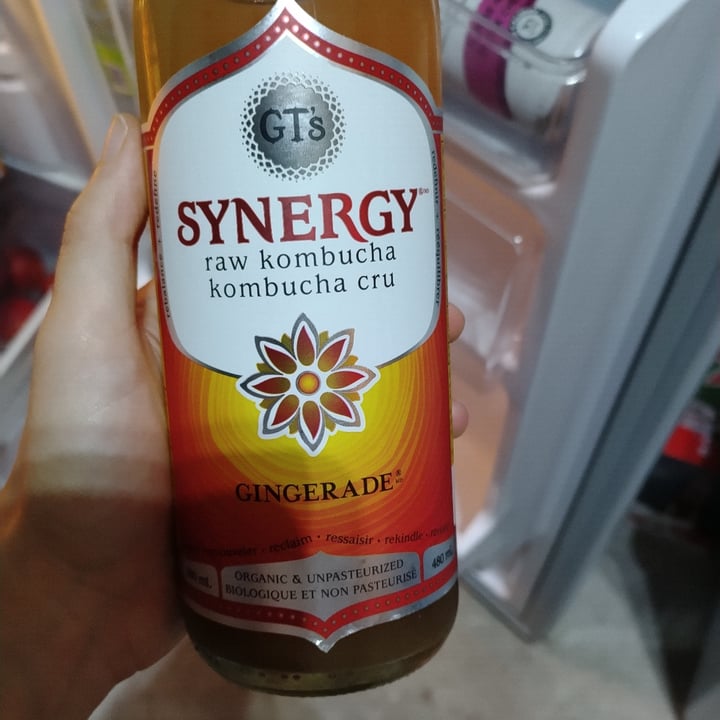 photo of GT’s Living Foods Gingeraide raw kombucha shared by @laurence22 on  11 Nov 2021 - review