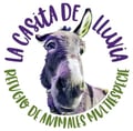 lacasitadelluvia @lacasitadelluvia profile image