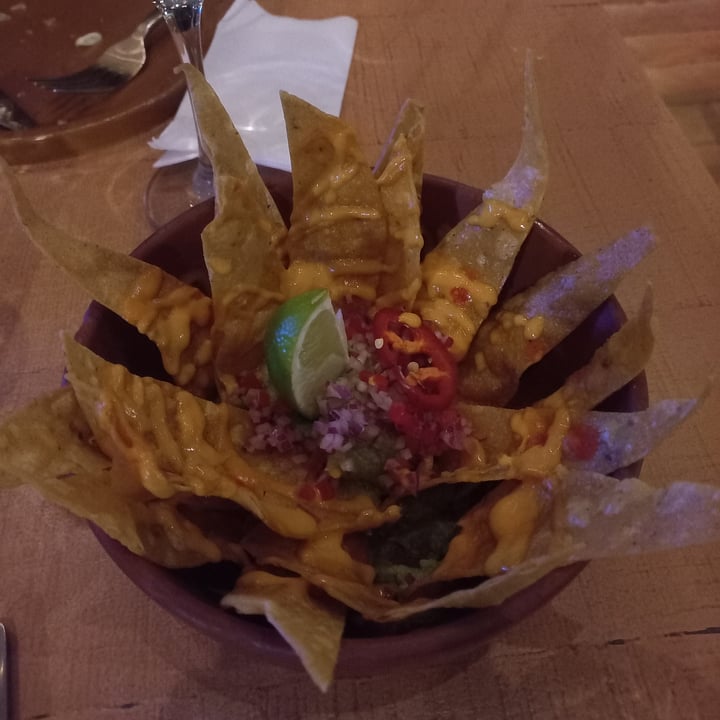 photo of Oleada Plant Based Totopos y guacamole shared by @chuequita on  02 Feb 2022 - review