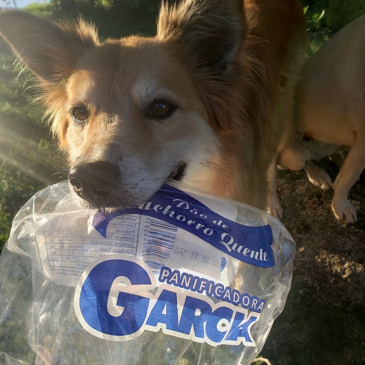 photo of panificadora garck Pão De Cachorro Quente shared by @loute on  23 Oct 2022 - review