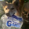 panificadora garck
