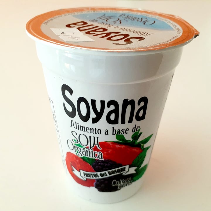 photo of Soyana Yogurt a Base de Soja sabor Frutos del Bosque shared by @lalaveg on  11 Mar 2021 - review
