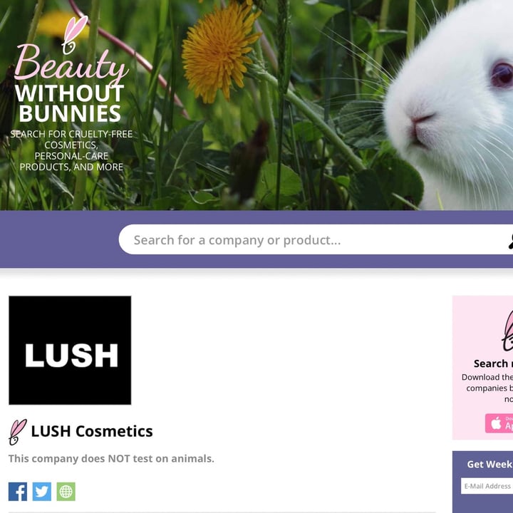photo of LUSH Fresh Handmade Cosmetics Dirty Lavadenti shared by @gingersaint on  03 Nov 2022 - review