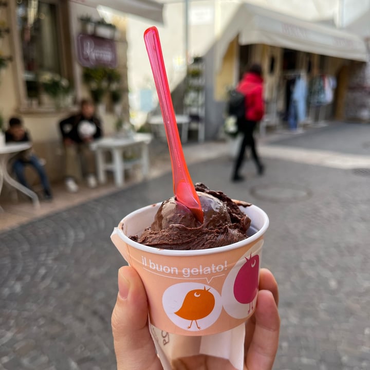 review photo of Gelateria Pasticceria Porta S. Zeno Di Nella Michele Gelato shared by @silvia22m on 24 Apr 2022 - review