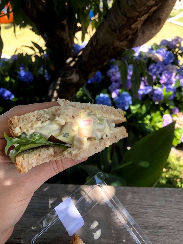 photo of Peregrine Farm Stall Chickless sandwich shared by @allywally on  30 Dec 2019 - review