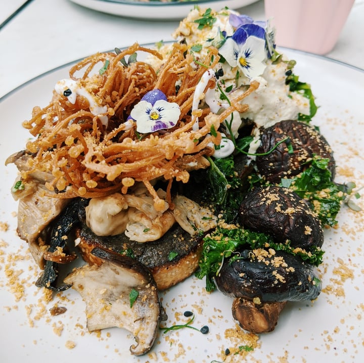 photo of Jamaica Blue Westfield Warringah Mall Vegan Goshroom shared by @mon19 on  30 Oct 2020 - review