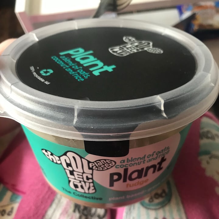 photo of The Collective Plant Based Fudge Greek style yoghurt shared by @cecimule on  17 Jul 2021 - review