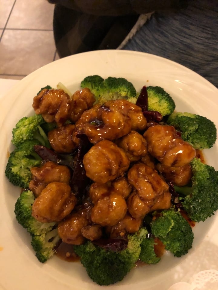 photo of Ye’s Asian Vegan Kitchen General Tso’s Soy Protein Entree shared by @olivepet on  21 Jan 2020 - review