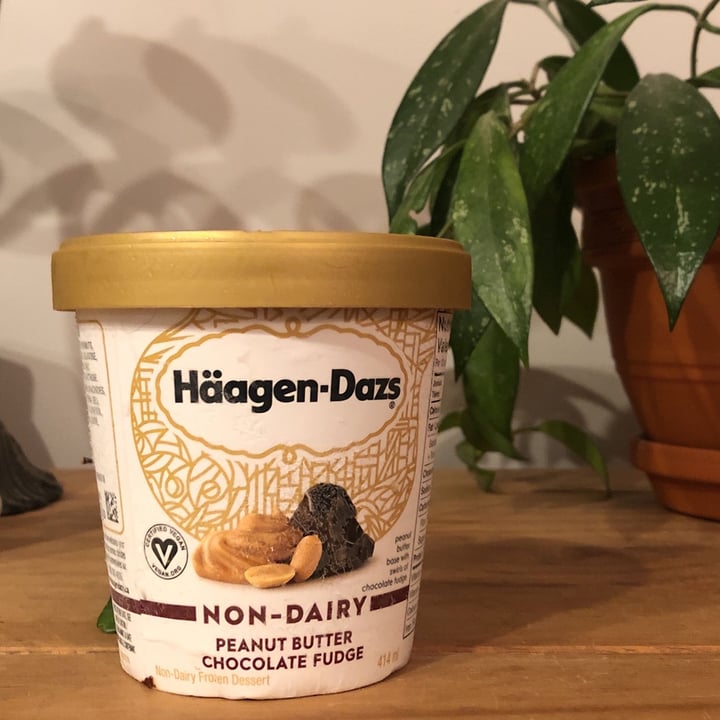 photo of Häagen-Dazs Peanut Butter Chocolate Fudge shared by @biancad on  13 Nov 2021 - review