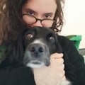 agnesege @agnesege profile image