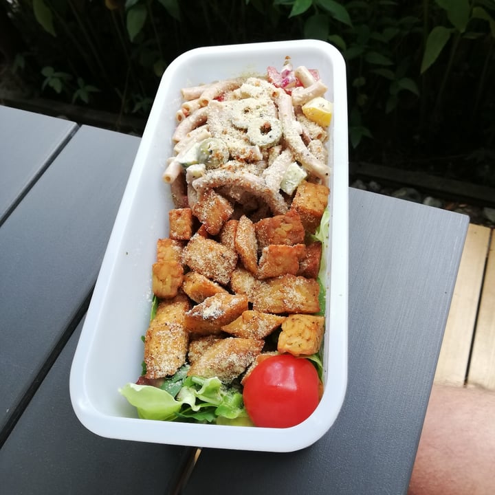 photo of Vegan Resort & veganes Catering in Mecklenburg-Vorpommern der Kernvoll GmbH Nudelsalat mit Tempeh und Cashew-Parmesan shared by @markus09 on  10 Jul 2022 - review