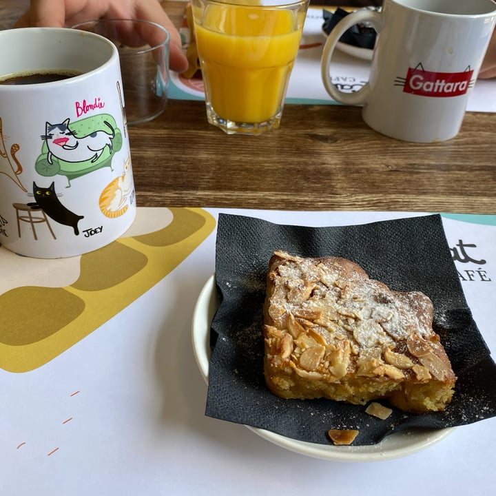 photo of Crazy Cat Café Waffle con hummus di ceci e barbabietola, servito con una dadolata di tofu affumicato shared by @laura00 on  09 Jun 2022 - review