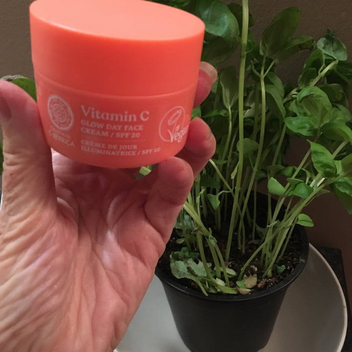 Oblepikha Siberica Vitamin C Glow Day Face Cream Review abillion