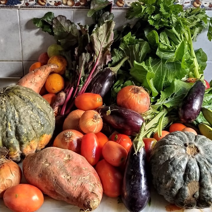 photo of UTT Bolsón Agroecologico shared by @camilozada on  12 Sep 2020 - review