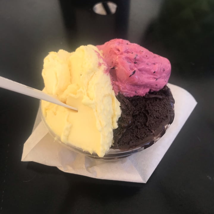 photo of Gelateria Voglia di Gelato gelato Mango,mirtillo ,cioccolato Fondente shared by @miryvera81 on  03 Jul 2022 - review