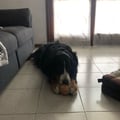 @cudiz profile image