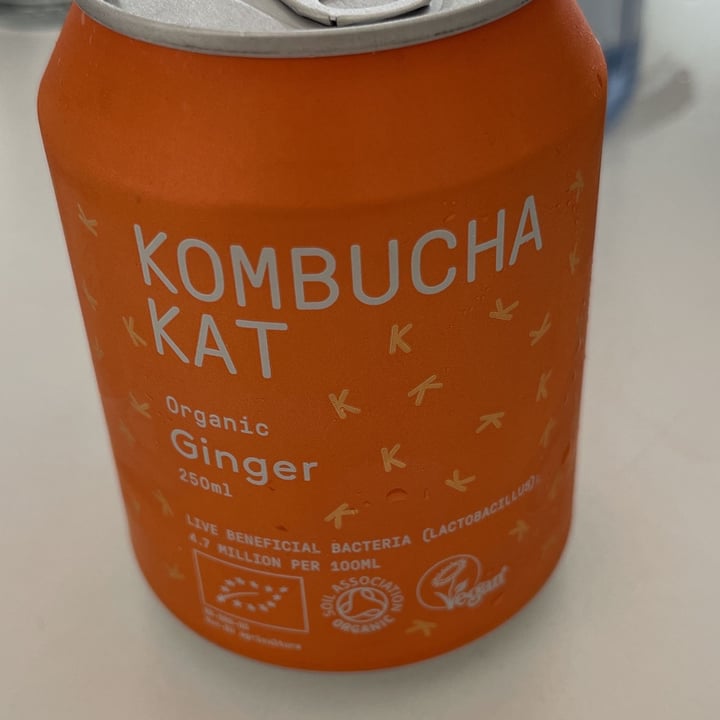 photo of Kombucha Kat Kombucha Kat Organic Ginger shared by @lolumcakes on  31 Oct 2021 - review