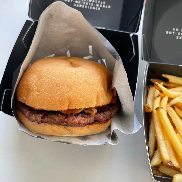 photo of Alien Burger Vegan Burgers and fries shared by @jrazy on  17 Dec 2021 - review