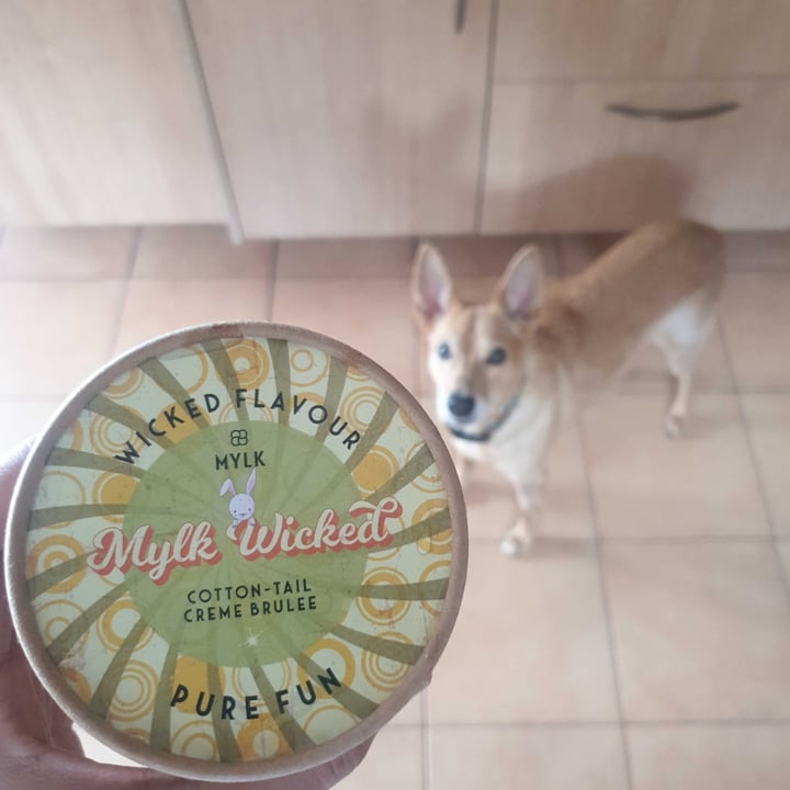 review photo of Mylk Wicked Cotton-Tail Creme Brulee shared by @ricardojfmarques on 03 Mar 2021 - review