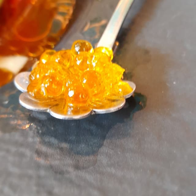 Photo du plat “Proteus”