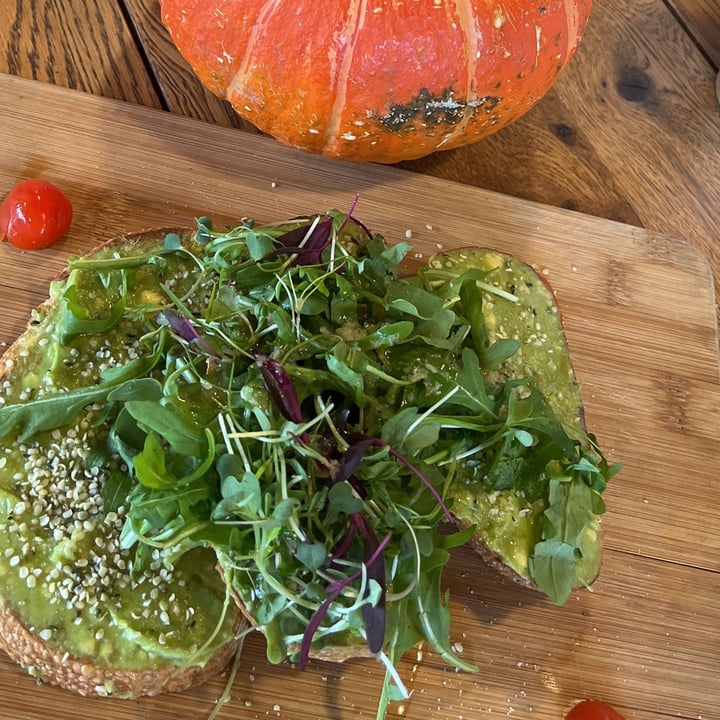 photo of Lola's Cafe Avocado toast shared by @theplantbasedbassist on  02 Nov 2022 - review