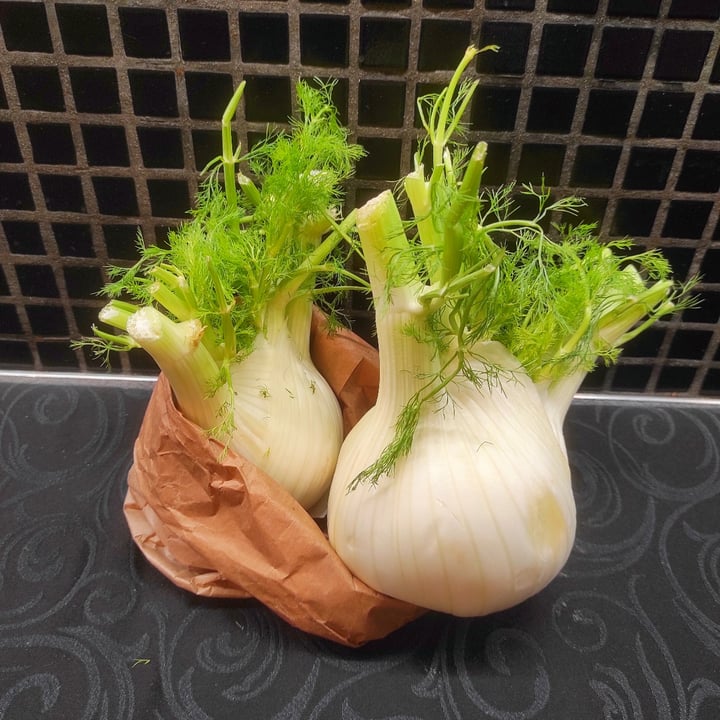 review photo of Sweggie Finocchi shared by @thekindseed on 31 May 2022 - review