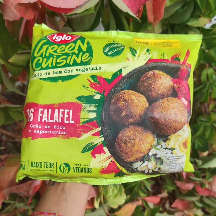 photo of Iglo Falafel shared by @sofiarodrigues on  17 Oct 2021 - review