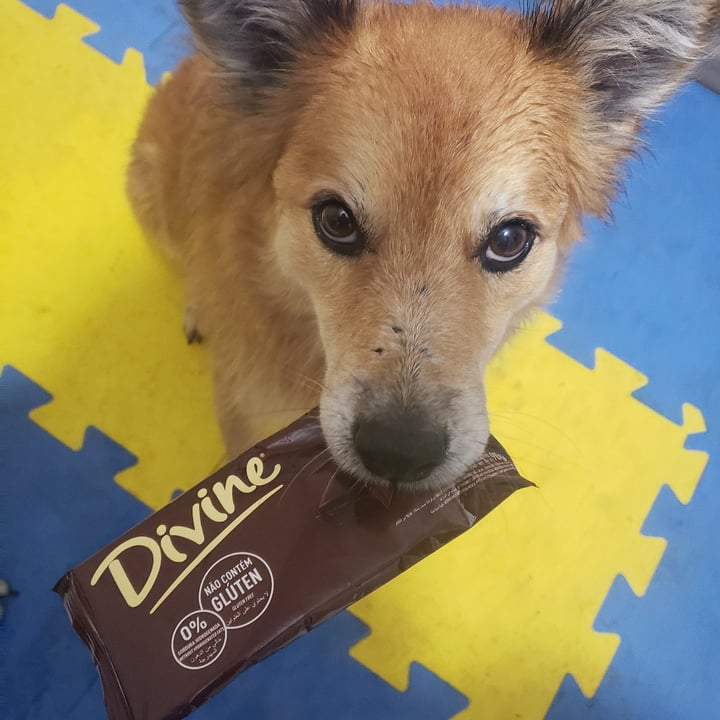 photo of Divine Chocolate Chocolate meio amargo 50% cacau shared by @loute on  07 Aug 2022 - review