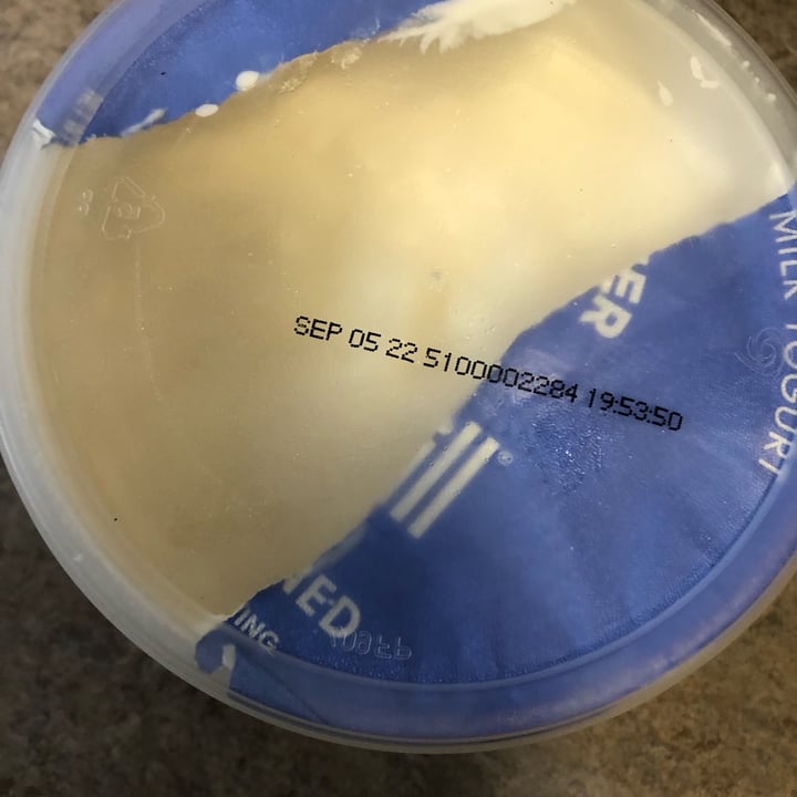review photo of Kite Hill Plain Unsweetened Almond Milk yogurt shared by @lstem on 31 Jul 2022 - review