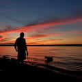 bronx626 @bronx626 profile image