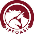 @ippoasi profile image