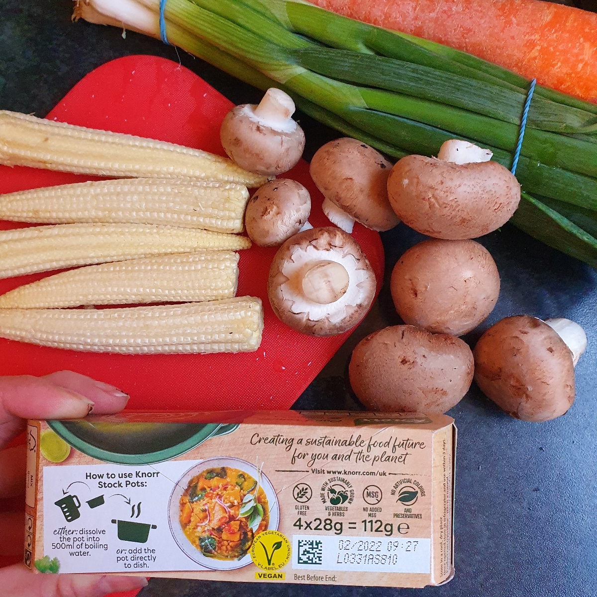 Knorr Vegetable Stock Pot Reviews abillion