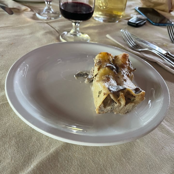 photo of Agriturismo Pianeta Verde Cannelloni vegan shared by @dariomanni on  04 May 2022 - review
