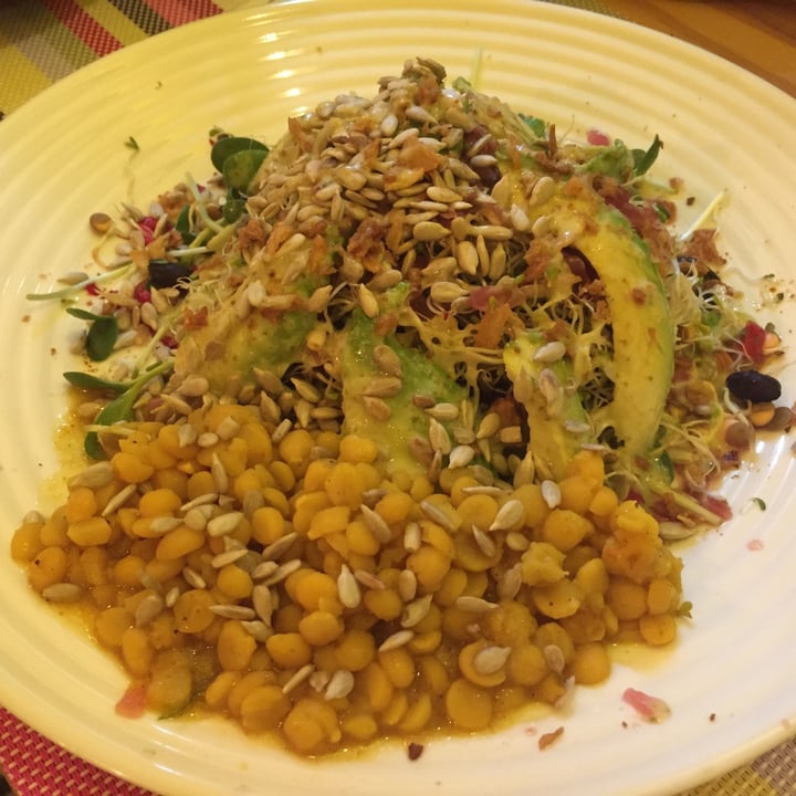 photo of The Sunshine Food Sprouting Co Salad plate shared by @charlottee on  23 Sep 2021 - review