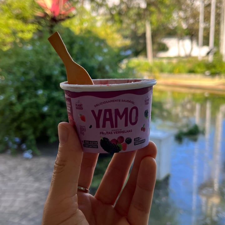 photo of Yamo Sorvete de frutas vermelhas shared by @melanelago on  09 Dec 2022 - review