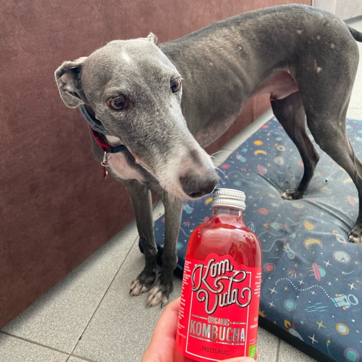 photo of KomVida Kombucha Kombucha Frutos Rojos shared by @nataliamartinez on  30 Sep 2022 - review