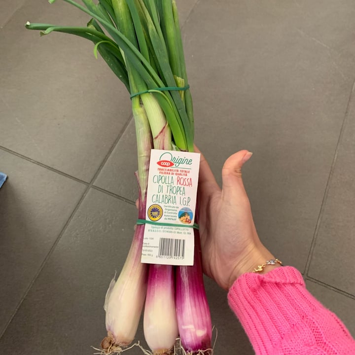 review photo of Origine Coop Cipolla rossa di Tropea shared by @nangaparbat on 19 Mar 2022 - review