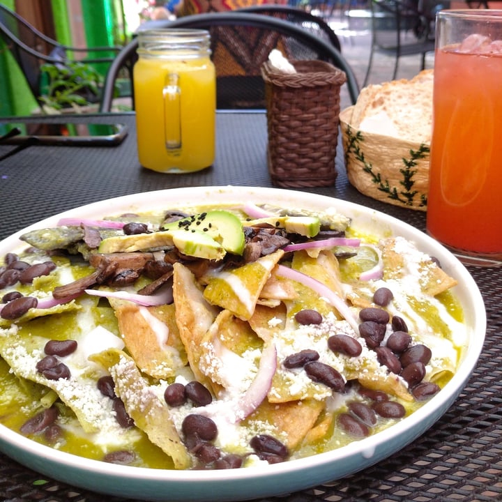 photo of Taco Green Chilaquiles verdes shared by @alexasiiiiiiii on  19 Dec 2021 - review