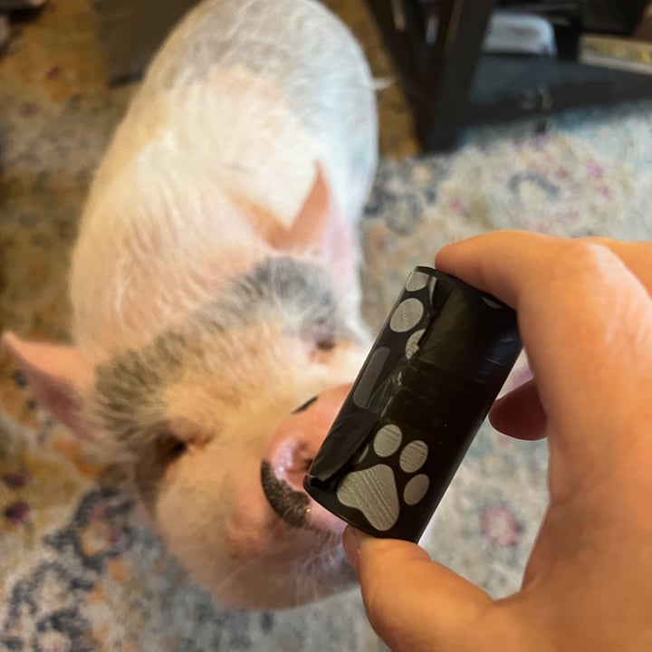 review photo of Best Pet Products Scented Waste Bags shared by @archiethepig on 29 May 2022 - review