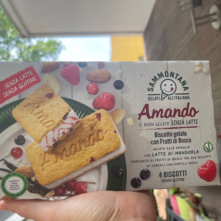 photo of Sammontana Biscotti Gelato Con Frutti Di Bosco shared by @loveg on  16 Jun 2021 - review
