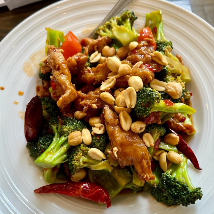 photo of Vegan Deadly Sins Kung Pao Vegan Chicken shared by @orangeash on  01 Aug 2022 - review
