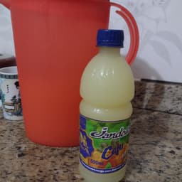 Jandaia